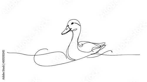 A continuous line drawing of a realistic duck