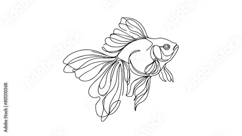 A continuous line drawing of a realistic goldfish