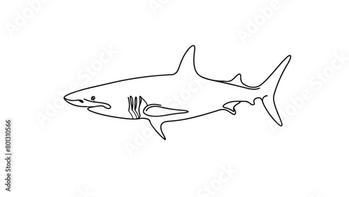 A continuous line drawing of a realistic shark