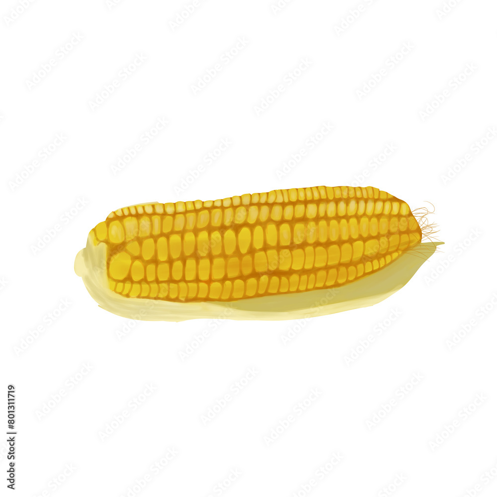 peeled ripe corn isolated on png transparant background 