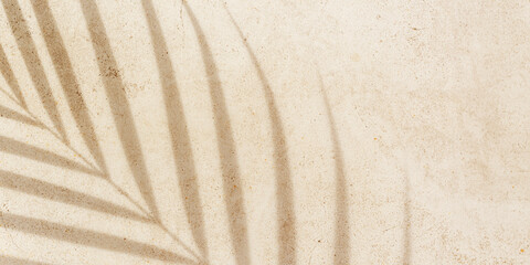 Soft shadows of tropical palm leaves on textured concrete background neutral beige colored. Summer travel, vacation, spa concept. Minimal style nature banner, summertime aesthetic backdrop copyspace