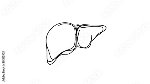 A one continuous line drawing of a human liver