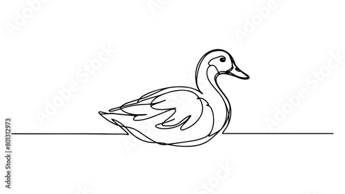 A realistic duck drawn as a continuous line