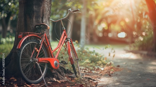 Vintage bicycle waiting near tree. with copy space. world bicycle day background concept photo