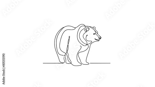 continuous line drawing of a bear