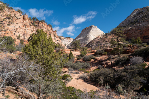 Peaks of Zion National Park - Landscape