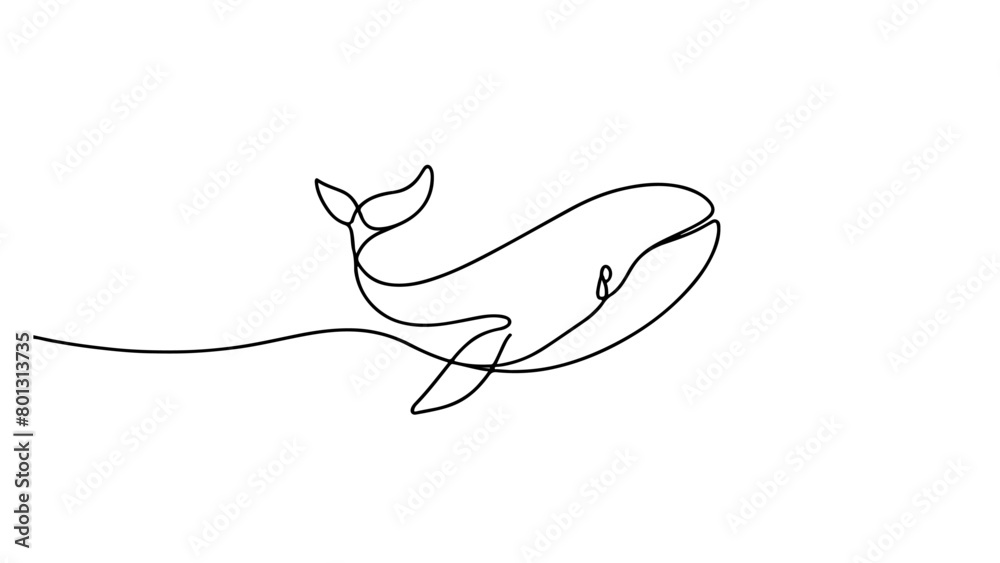 Fototapeta premium continuous line drawing of a whale