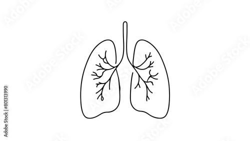 Minimalist continuous line drawing of human lungs 