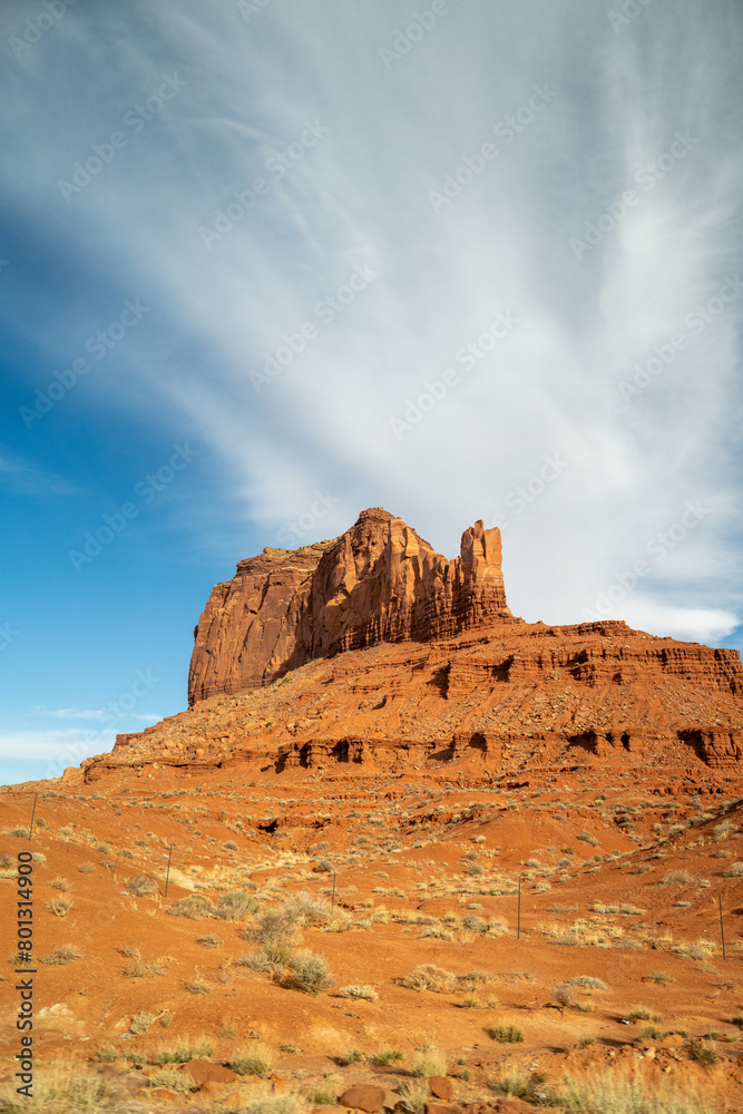 Fototapeta premium King on his Throne near Monument Valley - Portrait