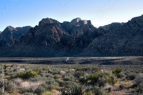 USA, Nevada, Red Rock Canyon. Route perdue traversant la plaine désertiques aux cactus, épineux et buissons vers les montagnes rocheuses et râpées.