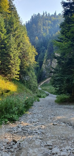 Trail to the Three Crowns peak, Pieniny Mountains, 2023 photo