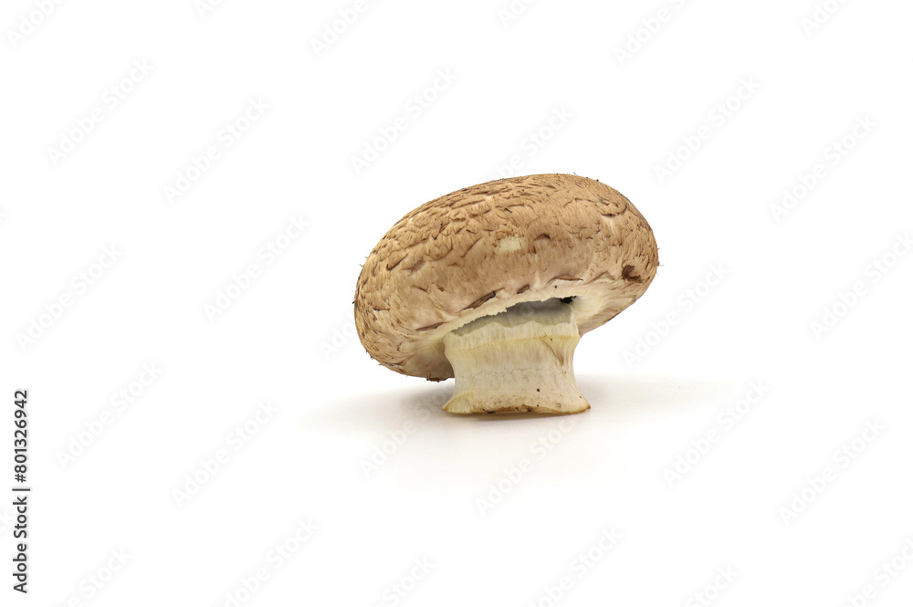 Fresh  champignon mushrooms isolated on a white background.  full depth of field.