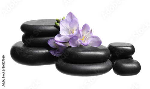 Beautiful violet freesia flowers and stones isolated on white