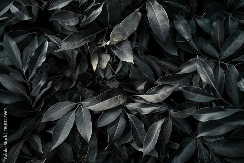 Dark Monochromatic Foliage Texture - Natural Leaf Patterns © Lidok_L