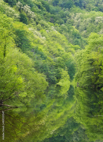 Spring in the Urumea river. Spring in the Urumea river as it passes through Ereñozu, Hernani, Basque Country.