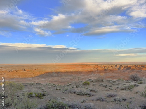 Beautiful Landscape Painted desert Arizona USA 