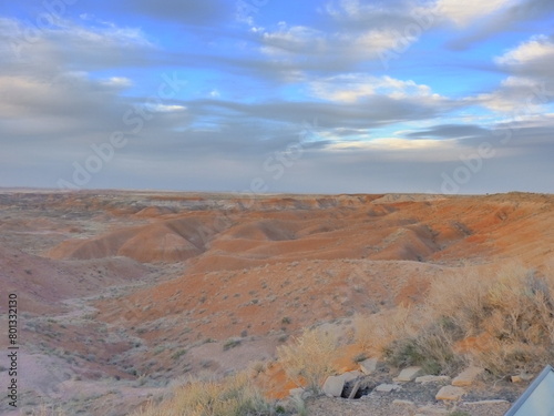 Beautiful Landscape Painted desert Arizona USA  © Cyndie