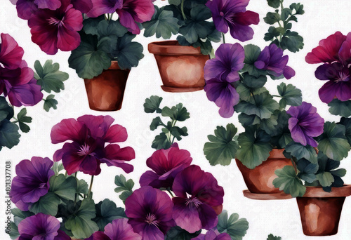 'garden pelargonium Seamless pots painting purple Indoor Hand flowers pattern background drawn watercolor white geraniums Background Pattern Flower Design Watercolor Summer Nature Vintage Easter'