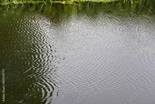 Ripples on the surface of a river in Somerset with reeds 