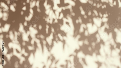 Transparent soft light and shadows from branches, plant, foliage and leaves. Sun and shadows. Gray shadow of the leaves on a wall. Space for text. Product presentation, mockup for advertising. . High