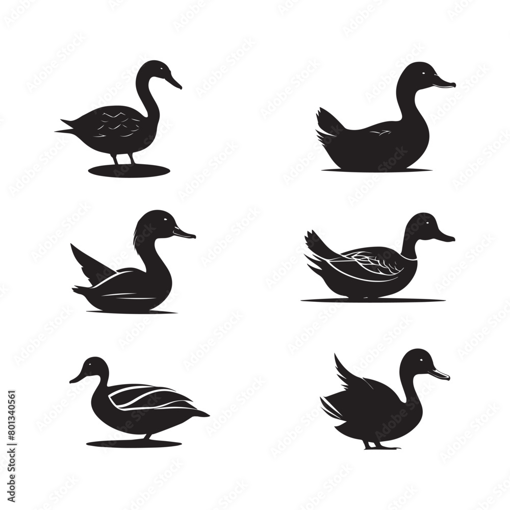 Lake Ducks Vector Silhouette illustration. Lake Ducks Vector Silhouette illustration.