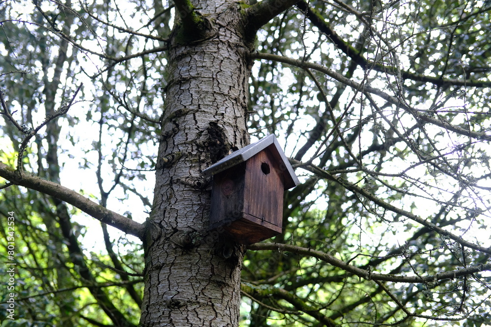 A tight frame of a small bird home. Le Pouliguen, France - April 29, 2024. A tight frame of a small bird home. Le Pouliguen, France - April 29, 2024.