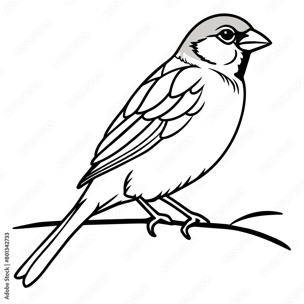 Obraz premium Bird coloring book vector illustration (4)