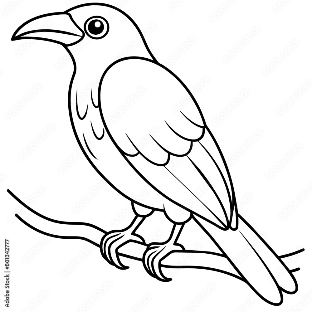 Obraz premium Bird coloring book vector illustration (7)