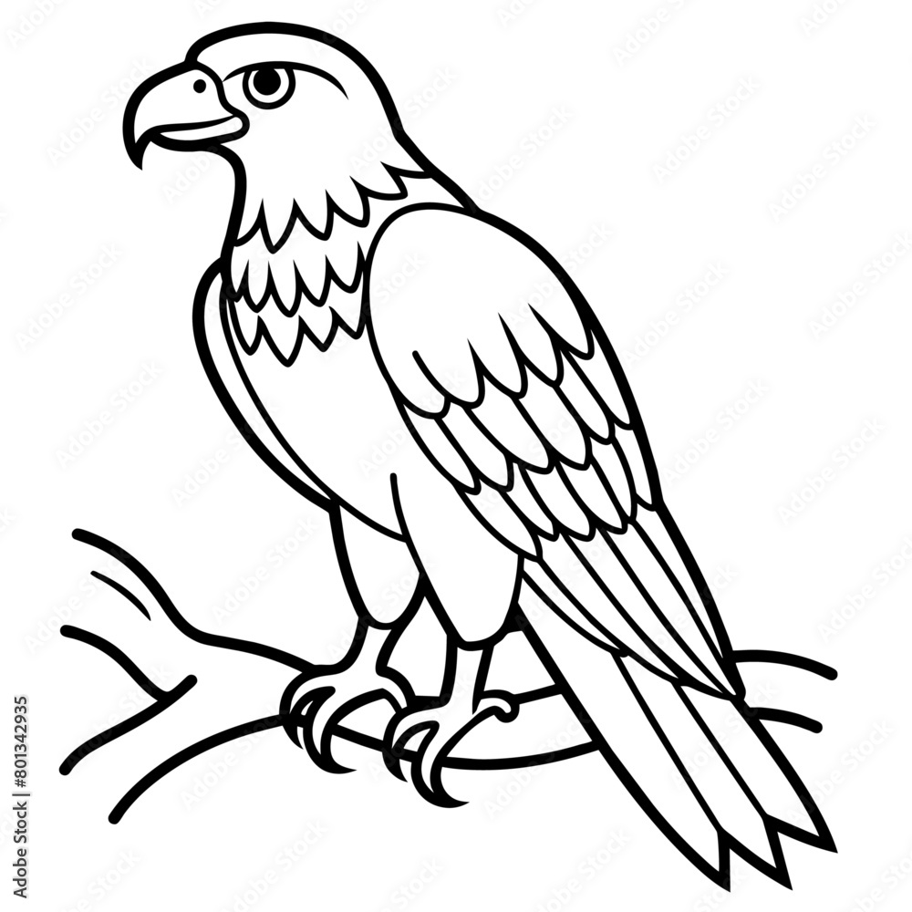 Obraz premium Bird coloring book vector illustration (39)