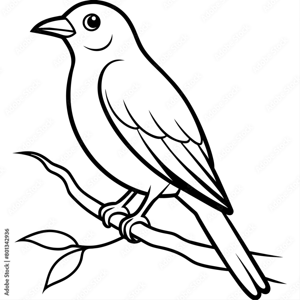 Obraz premium Bird coloring book vector illustration (37)