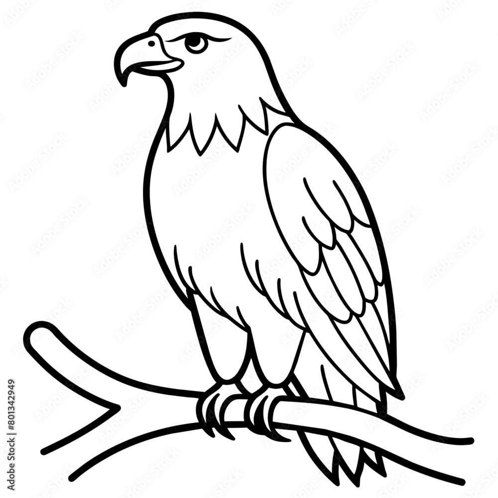 Fototapeta premium Bird coloring book vector illustration (42)