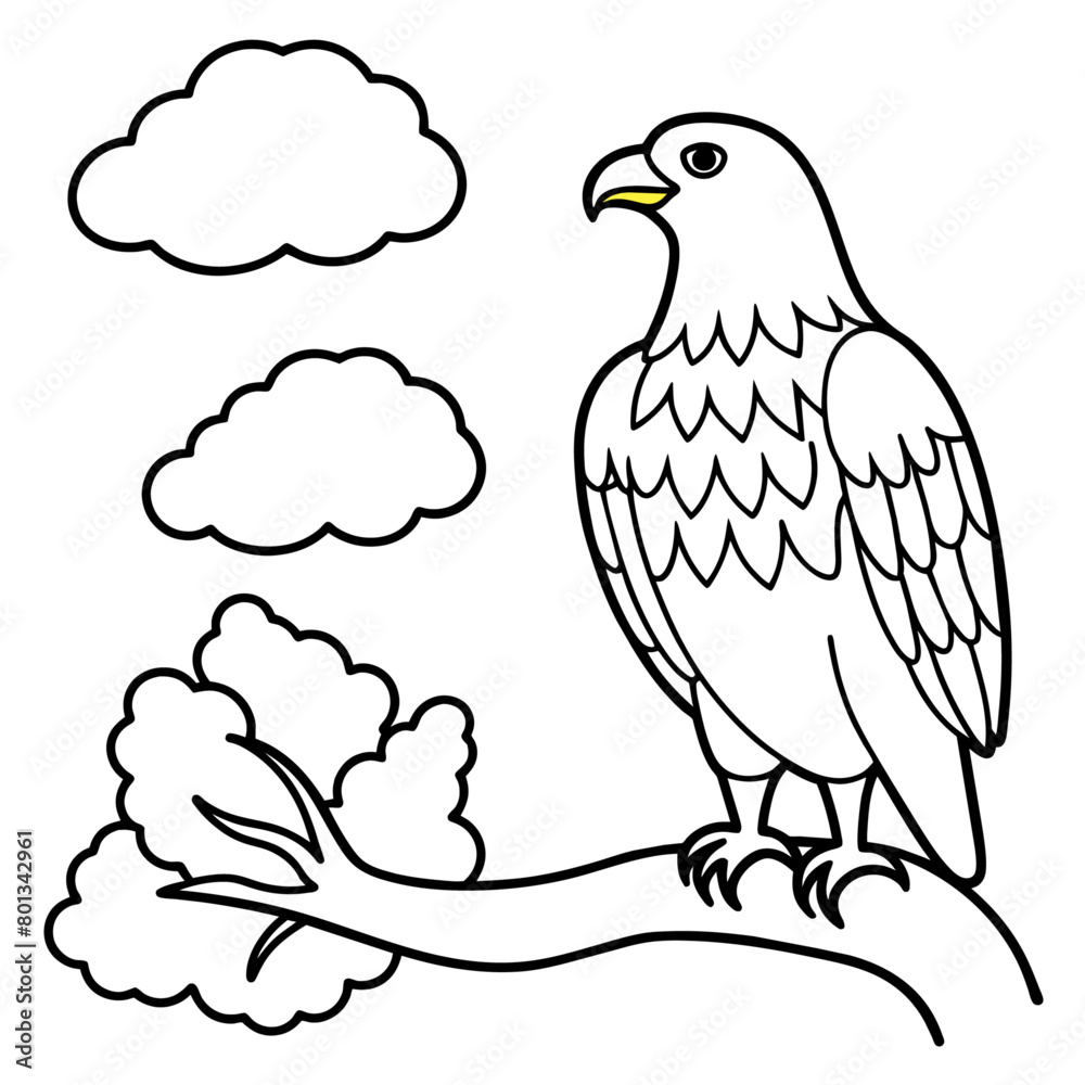 Fototapeta premium Bird coloring book vector illustration (43)