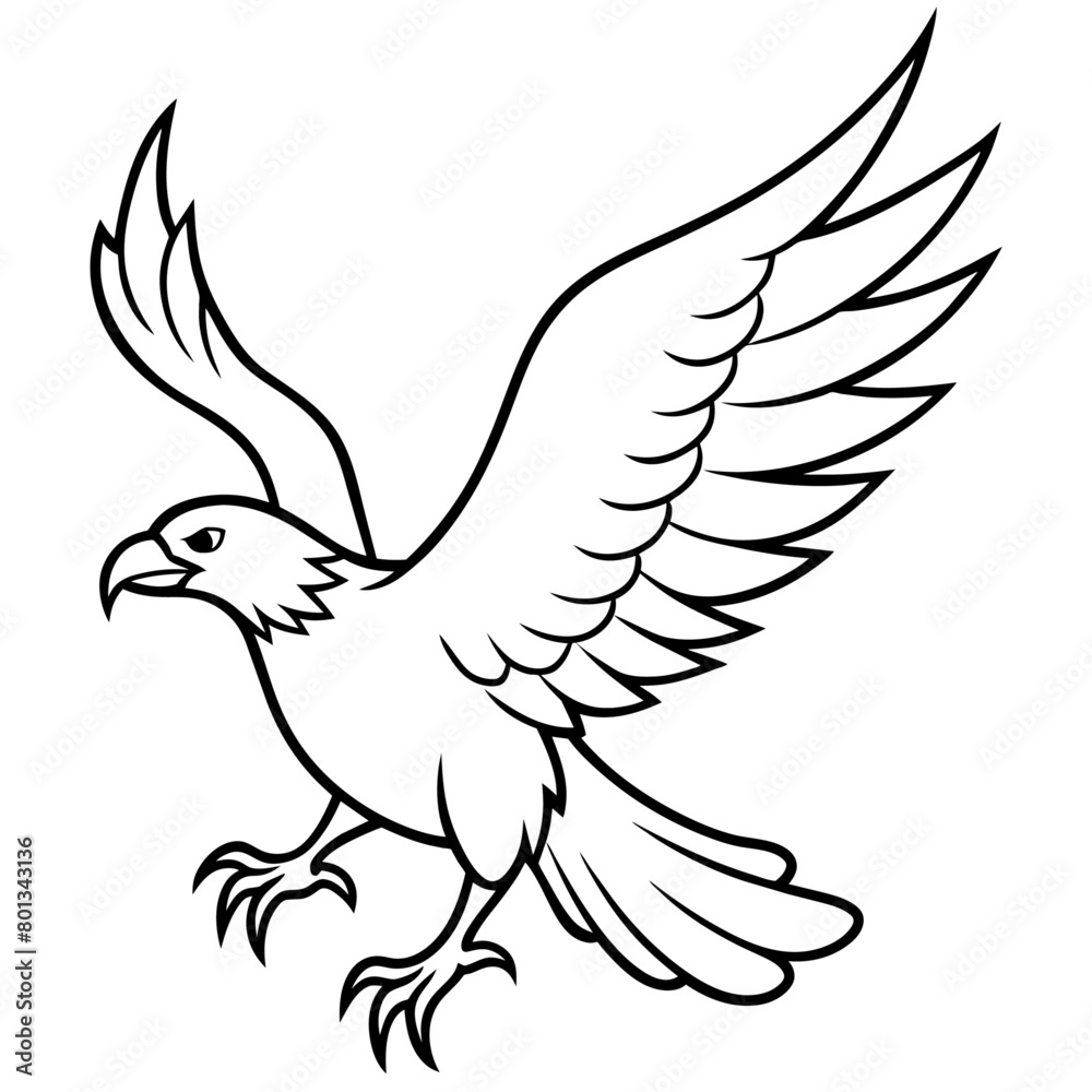 Obraz premium Bird coloring book vector illustration (64)