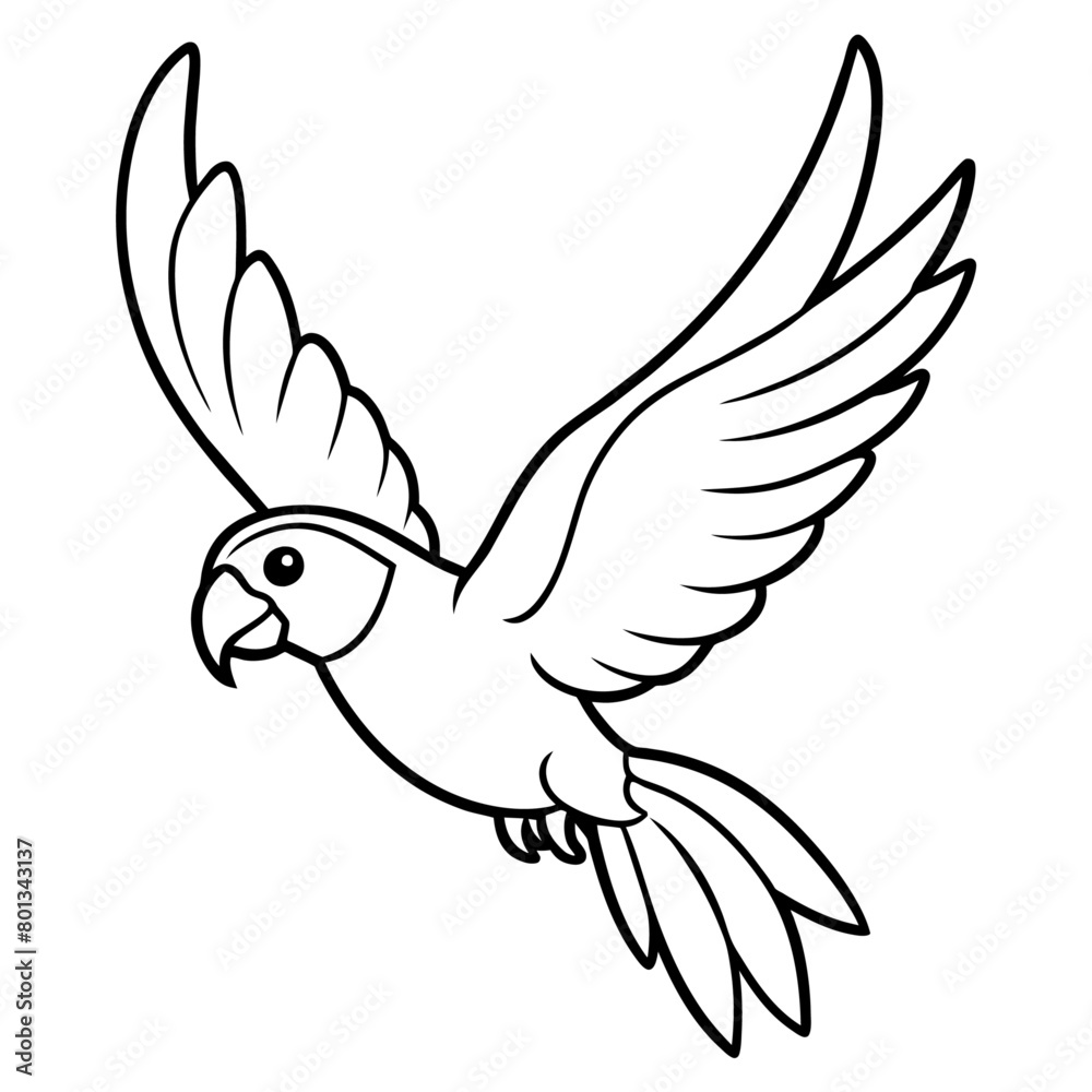 Obraz premium Bird coloring book vector illustration (67)