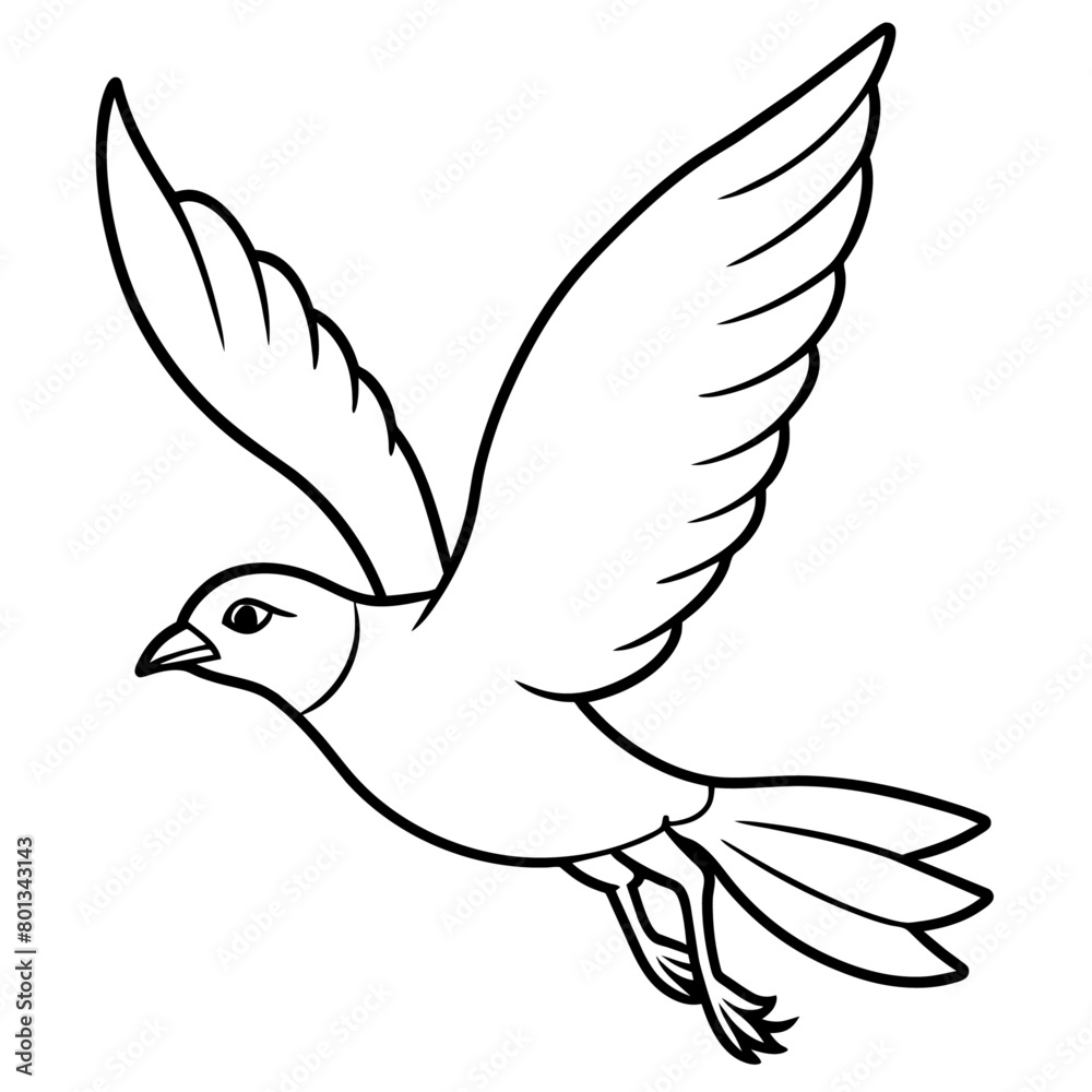 Obraz premium Bird coloring book vector illustration (72)