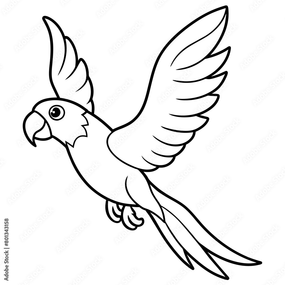 Obraz premium Bird coloring book vector illustration (66)