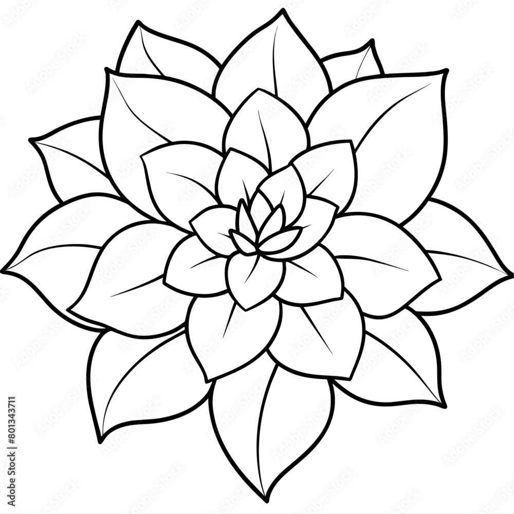 Fototapeta premium Flower coloring book design vector (41)