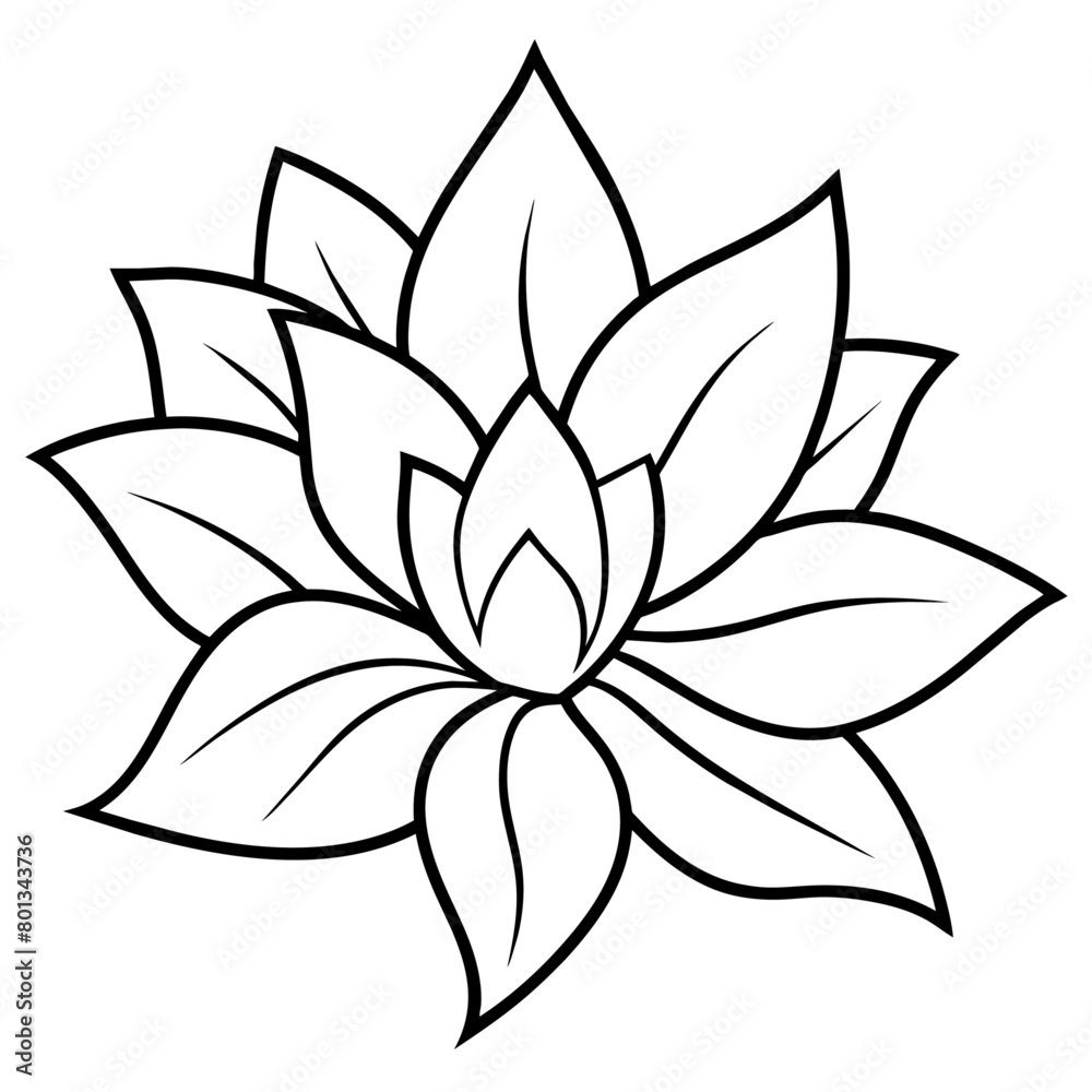 Fototapeta premium Flower coloring book design vector (48)