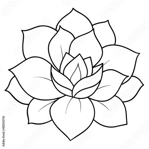 Flower coloring book design vector  43 