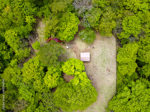 Birds eye aerial view of an observation deck in the middle of a lush, green, temperate forest © whitcomberd