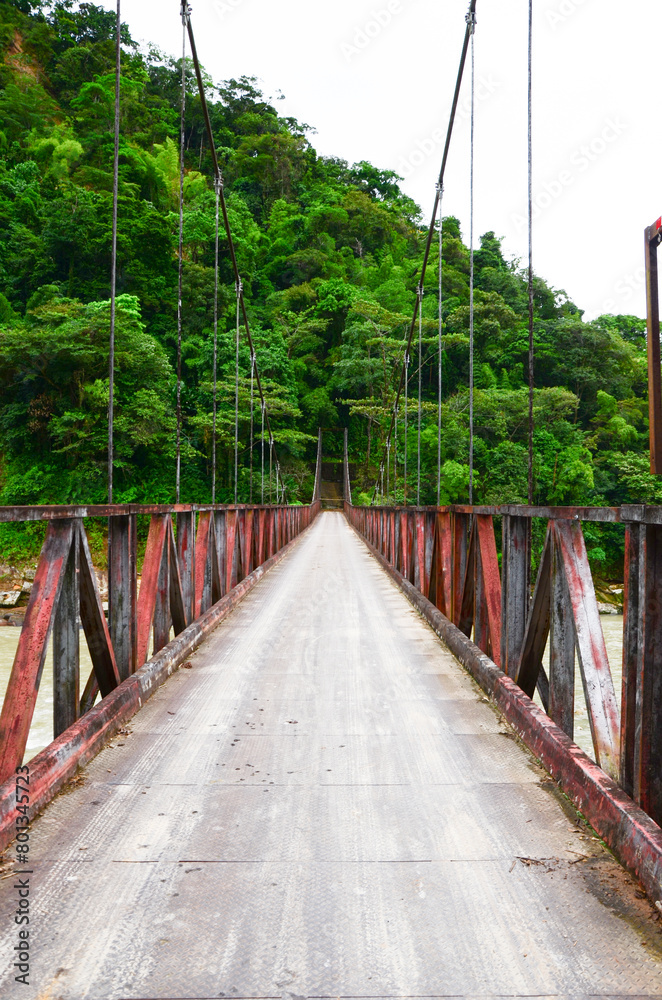 Obraz premium Puente