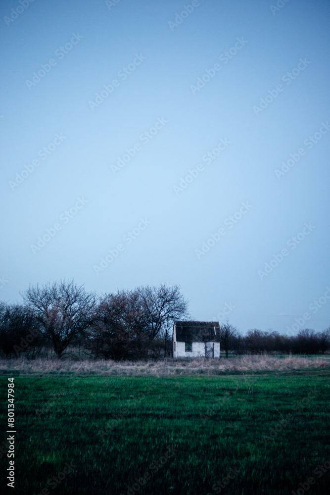 Fototapeta premium Field and blue sky with field . Spring evening . Abandoned old village . Green field 