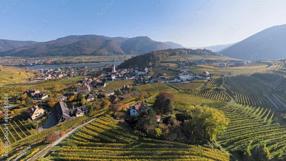 360 degrees seamless loopable aerial panorama of Spitz an der Donau town and vineyards. Wachau valley, Austria.