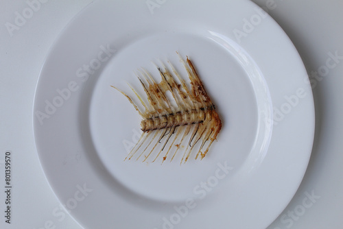 One Gourami fish bone, on white plate, isolated on white background, flat lay or top view photo