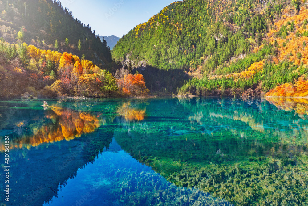 Five Flower Lake at autumn sunrise time. Jiuzhaigou nature reserve.