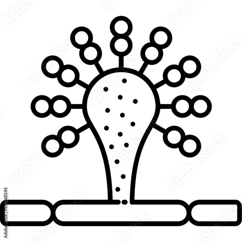 Aspergillus Icon