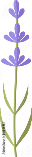 Flat cartoon green purple lavender herb icon (ID: 801369581)