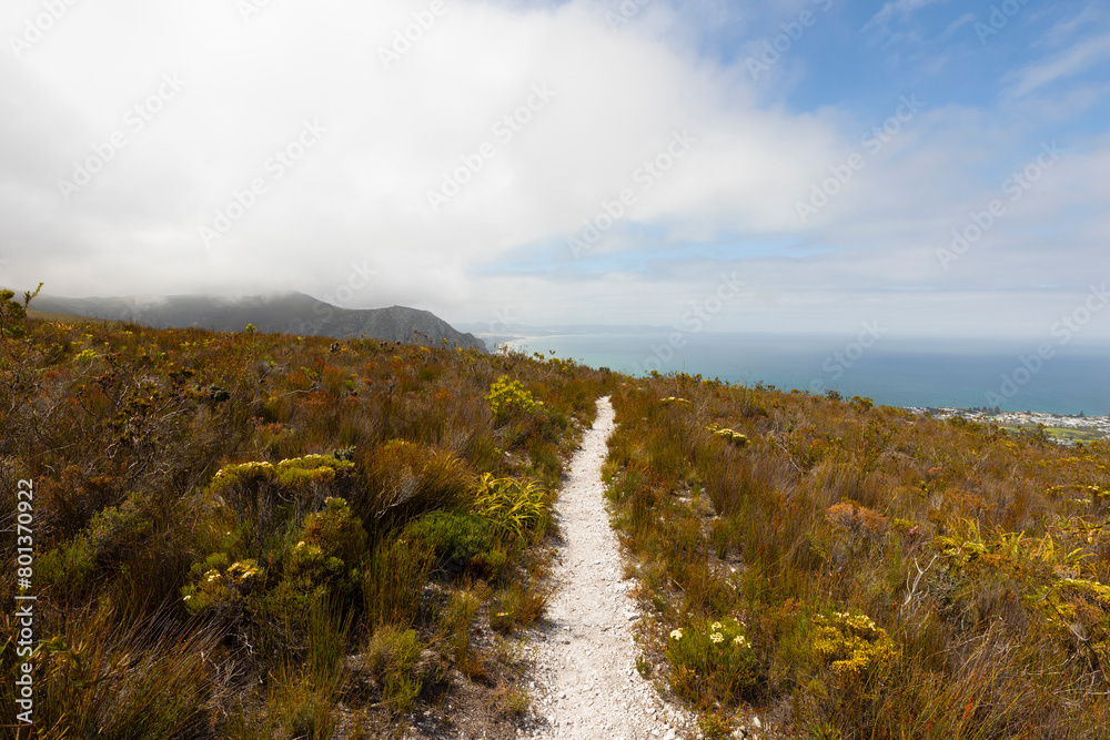 South Africa, Hermanus, Fernkloof Nature Reserve landscape and trail South Africa, Hermanus, Fernkloof Nature Reserve landscape and trail