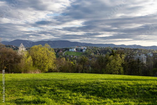 Meadow, trees and mountains on the horizon under a dramatic sky.