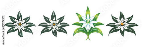 Set of  A lowers edelweiss, professional on a transparent background photo